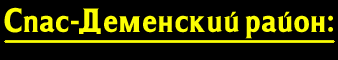 Спас-Деменский район