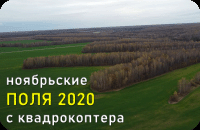 Ноябрьские поля 2020